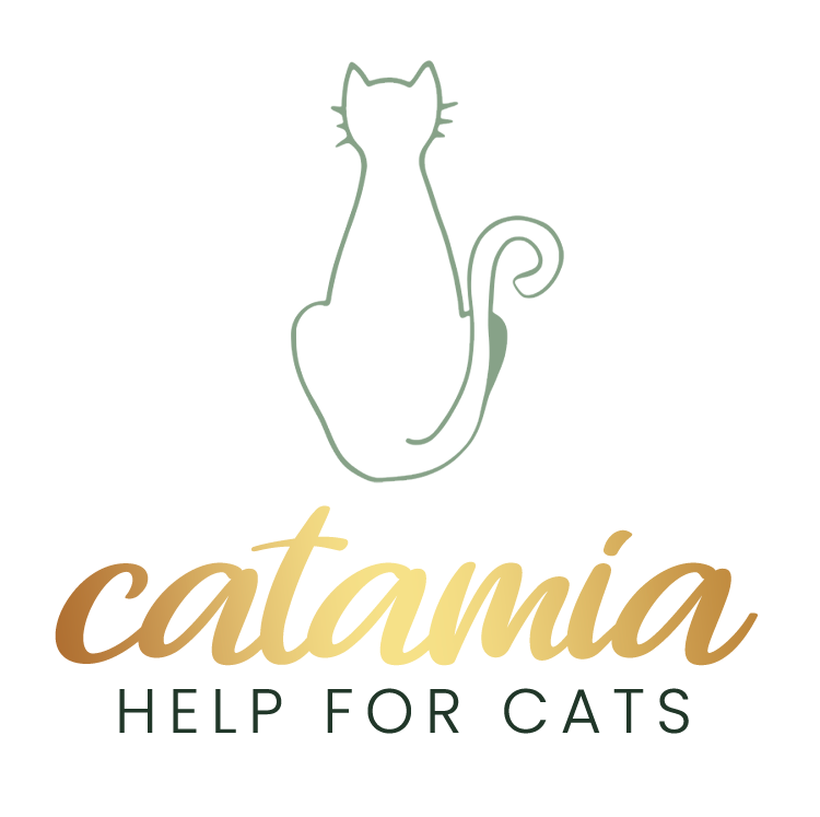 Catamia Mission - Voluntarios y rescatistas en Málaga